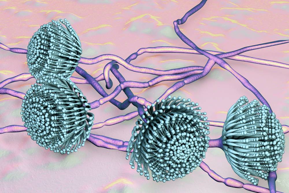 Pegasus Science Inteligência em Micotoxinas Legislação